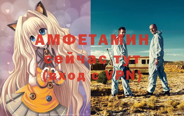 стафф Майский