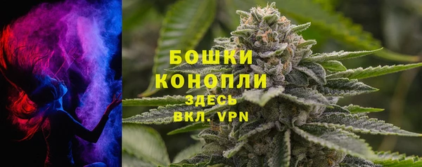 стафф Майский