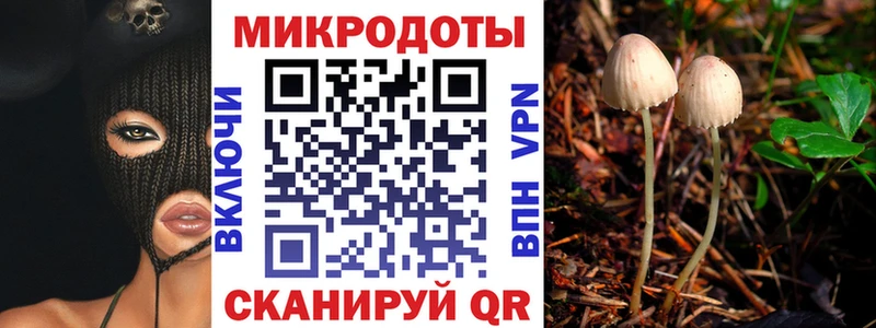 Псилоцибиновые грибы Cubensis  Купить где  Дмитровск 